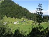 Vrh Bače - Planina Za Črno goro